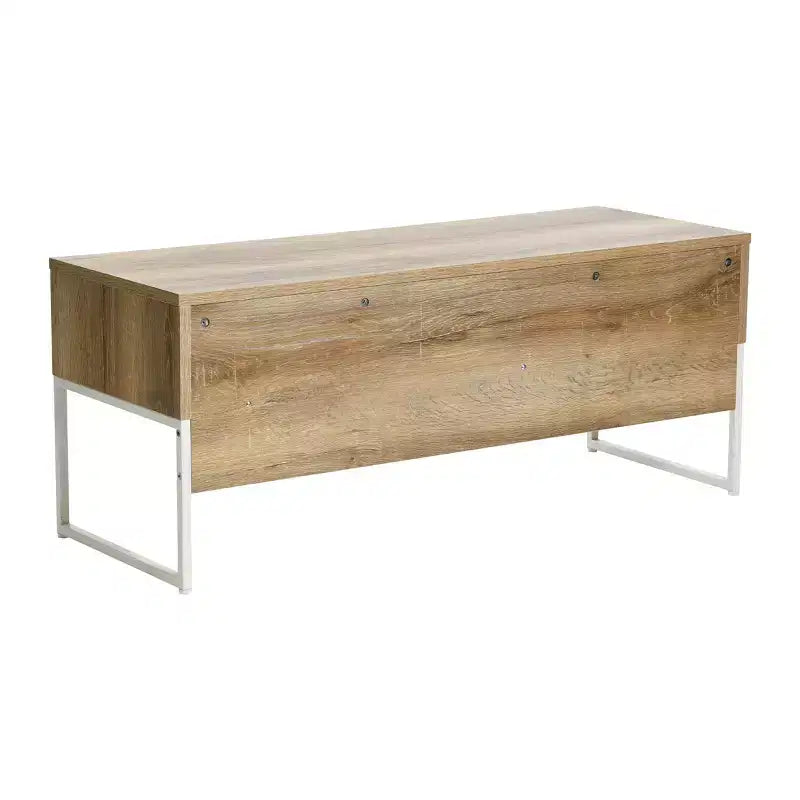 Mueble de TV Ashwood / Roble costero con almacenamiento cerrado, unidad individual